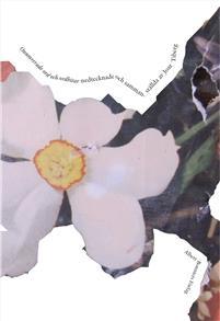 Atts jord - onumrerade ord och ordbitar nedtecknade och sammanställda (Paperback)