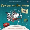 Raccoon on the Moon
