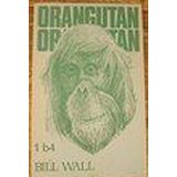Orangutan