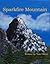 Sparkfire Mountain by Tom Oliver
