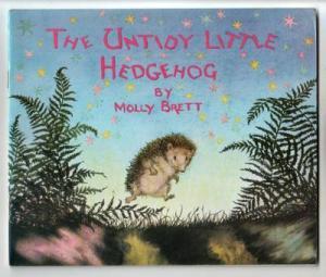 The Untidy Little Hedgehog