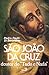 São João da Cruz doutor do "Tudo e Nada"