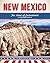 New Mexico: The Land of Enchantment (United States of America)