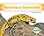 Becoming a Salamander (Chan...