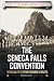 The Seneca Falls Convention: Working to Expand Women's Rights (Heroes of the Women's Suffrage Movement)