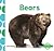 Bears (I Like Animals! Set 1)