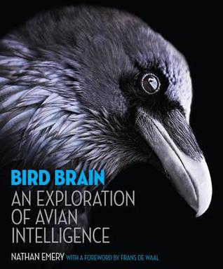 Bird Brain: An Exploration of Avian Intelligence (Hardcover)