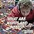 What Are Wants and Needs?