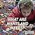 What Are Wants and Needs? by Barbara Hollander