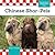Chinese Shar-Peis (Checkerboard Animal Library: Dogs)