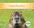 Capybaras