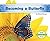 Becoming a Butterfly (Chang...