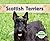 Scottish Terriers (Dogs Set 2)