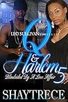 Q and Harlem 5: Blindsided by a Love Affair (Q & Harlem)