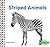 Striped Animals (Animal Skins)