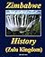 Zimbabwe History: Zulu Kingdom