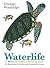 Waterlife: A Mini Mindful Coloring Book