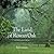 The Land of Rowan Oak: An Exploration of Faulkner's Natural World