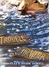 Trouble the Water