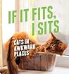 If It Fits, I Sits by Various