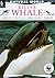 Killer Whale: Habitats, Life Cycles, Food Chains, Threats (Natural World)