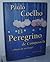 El Peregrino de Compostela (Diario de un mago)