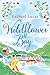 Wildflower Bay by Rachael Lucas