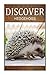 Hedge Hogs - Discover: Early reader's wildlife photography book