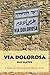 Via Dolorosa by Ray Slater