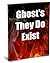 UPDATE! Ghost's They Do Exist