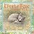 The Little Fox And The Lost Egg