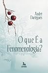 O que é Fenomenol...
