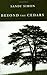 Beyond the Cedars