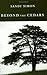 Beyond the Cedars