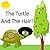 The Turtle and The Hair!