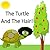 The Turtle and The Hair!