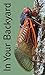 In Your Backyard: Periodical Cicadas