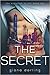 The Secret (The Evolution of Sin #2)