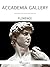 Accademia Gallery, Florence - An ebook guide