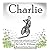 Charlie : A Child's Story of Grief, Loss & Love