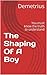 The Shaping Of A Boy by Demetrius