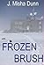 Frozen Brush (Andrew Brush #2)
