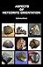 Aspects of Meteorite Orient...