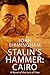 Stalin's Hammer: Cairo: A novel of the Axis of Time