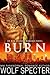 Burn
