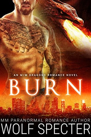 Burn (Kindle Edition)