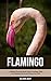Flamingo: A Children Pictur...