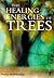 The Healing Energies of Trees