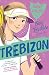 Boy Trouble at Trebizon by Anne Digby