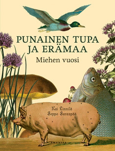 Punainen tupa ja erämaa: Miehen vuosi